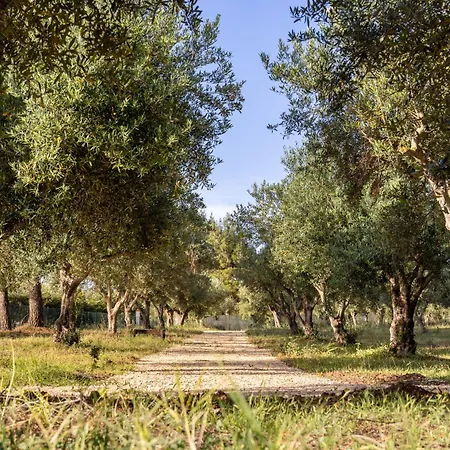 Casa Lory - A 3 Km Dalla Con Piscina *