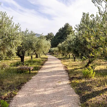 بيت للعطل Casa Lory - A 3 Km Dalla Con Piscina كاستيلاّماري ديل غو